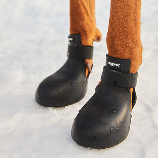 WagWellies® by wagwear