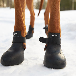 WagWellies® by wagwear