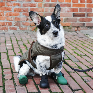 WagWellies® by wagwear