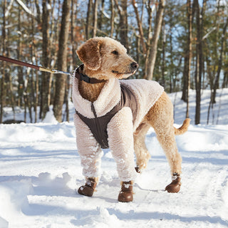 WagWellies® by wagwear