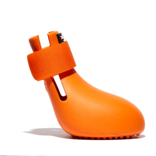 WagWellies® by wagwear
