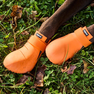 WagWellies® by wagwear