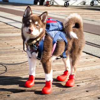 WagWellies® by wagwear
