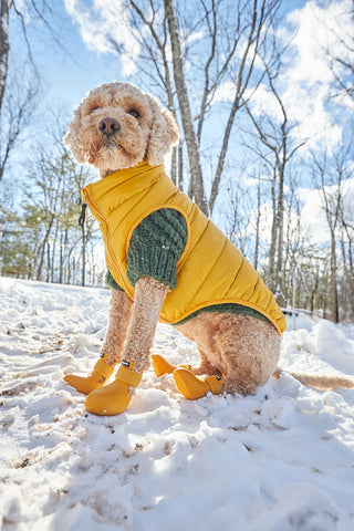 WagWellies® by wagwear