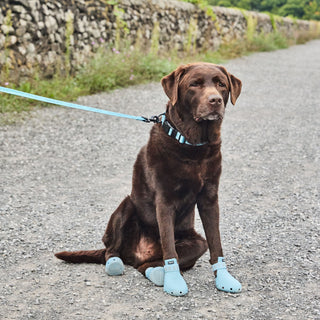 WagWellies® Sport