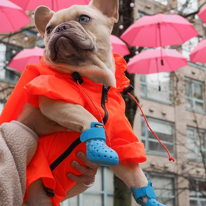 WagWellies® Mojave wagwear