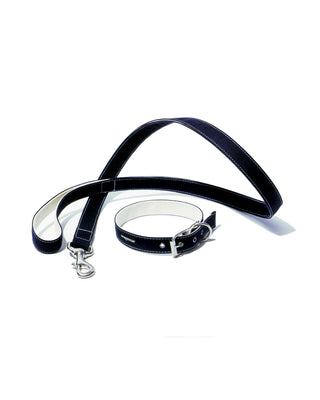 Boat Canvas Collar and Leash
