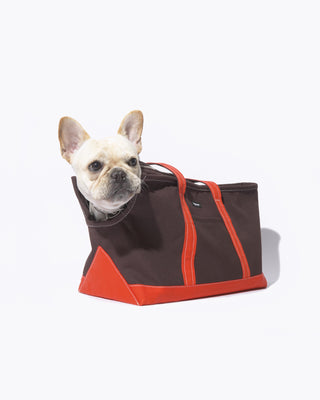 dog model in boat canvas zipper tote in brown and tangerine