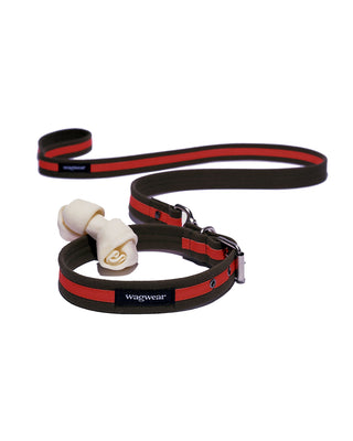 Canvas Reflective Collar and Leash
