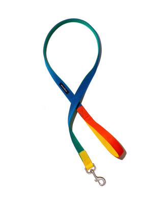 memphis leash in multi-color