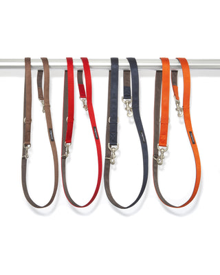 nylon metro leash in brown, red, navy, and orange