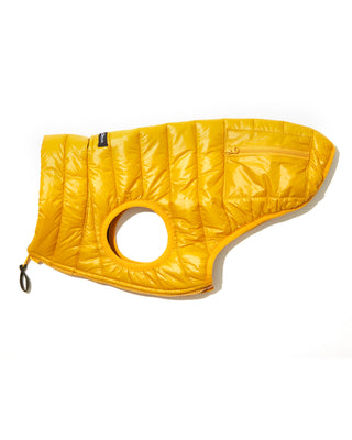 puffer vest in yellow/green