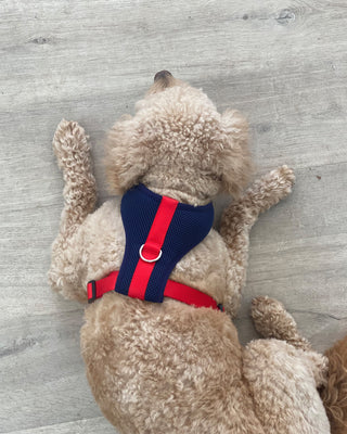 color block padded harness in navy and red