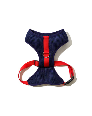 Color-Block Padded Harness