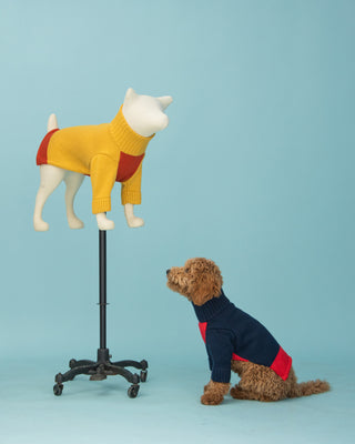 dog mannequin and model with rugby sweater in various colors