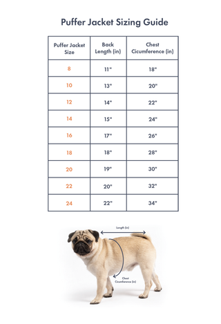 A size chart showing the different sizes and measurements for Wagwear Puffer Jackets. The sizes range from size 8 to size 24, and the measurements include back length and chest circumference in inches.