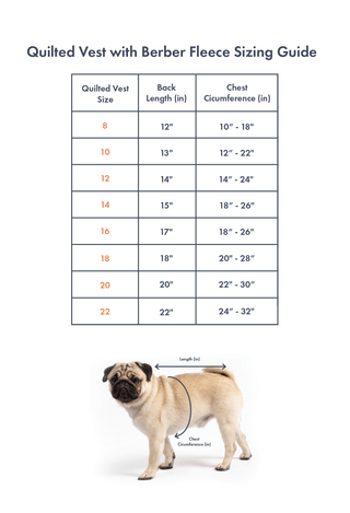 dog size chart